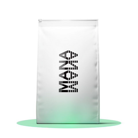 Family Pack OP | Lime Cake